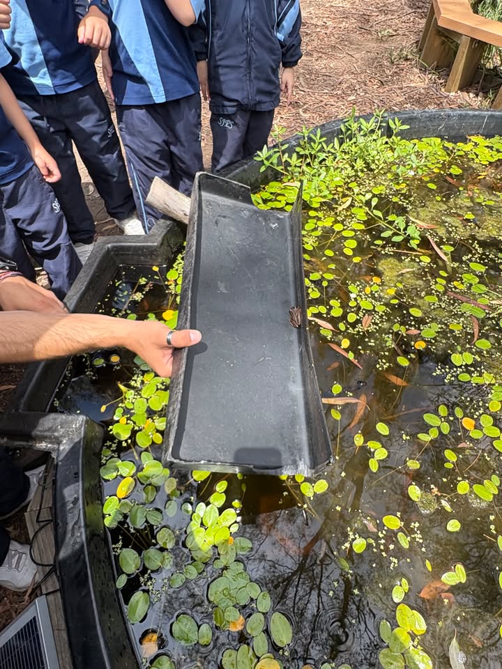 752989899591236_1518061879750697-1