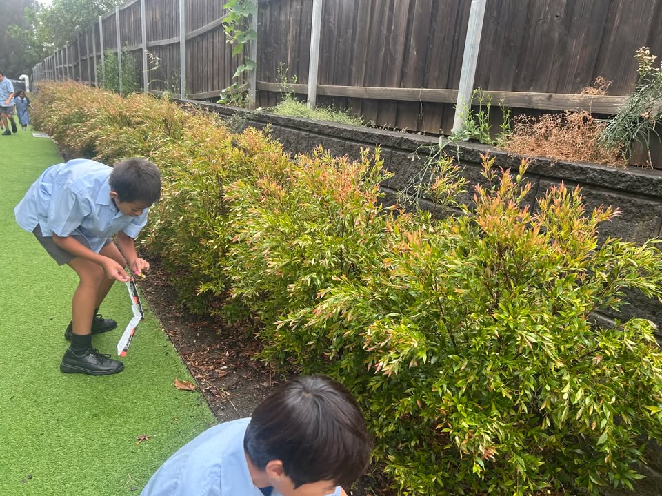 752989899591236_1622253622664855-1