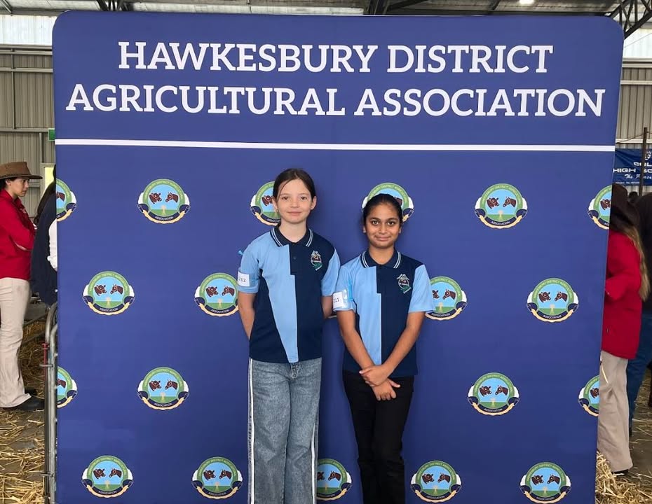 752989899591236_1673371480886402-1